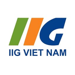 IIG Vietnam logo
